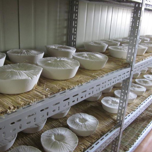 예천 한상준 오미자초 520㎖