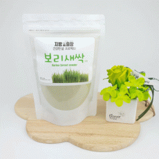 새싹보리분말 200g 국내산 100%