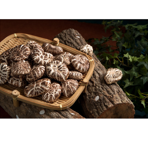 경성표고버섯 백화고,흑화고 혼합세트